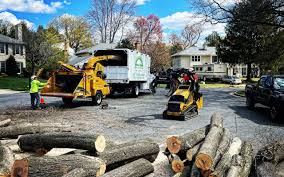 Best Arborist Consultation Services  in West Berlin, NJ