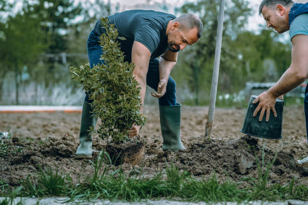 Best Tree and Shrub Care  in West Berlin, NJ