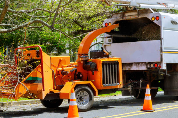 Best Seasonal Cleanup (Spring/Fall)  in West Berlin, NJ