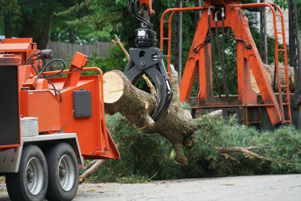 Best Firewood Processing and Delivery  in West Berlin, NJ