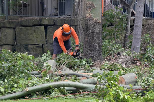 Best Commercial Tree Services  in West Berlin, NJ