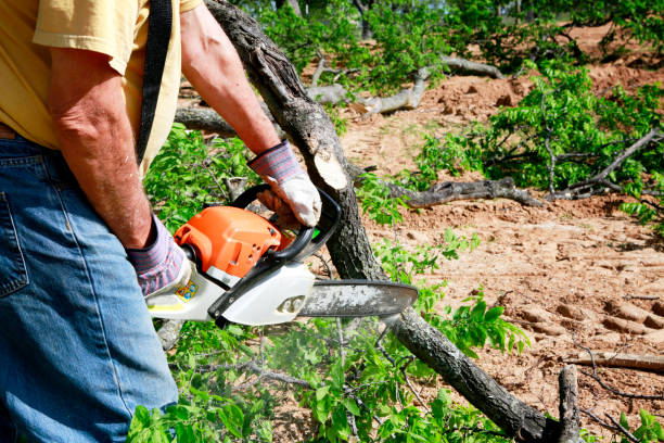 Soil Testing and Treatment in West Berlin, NJ